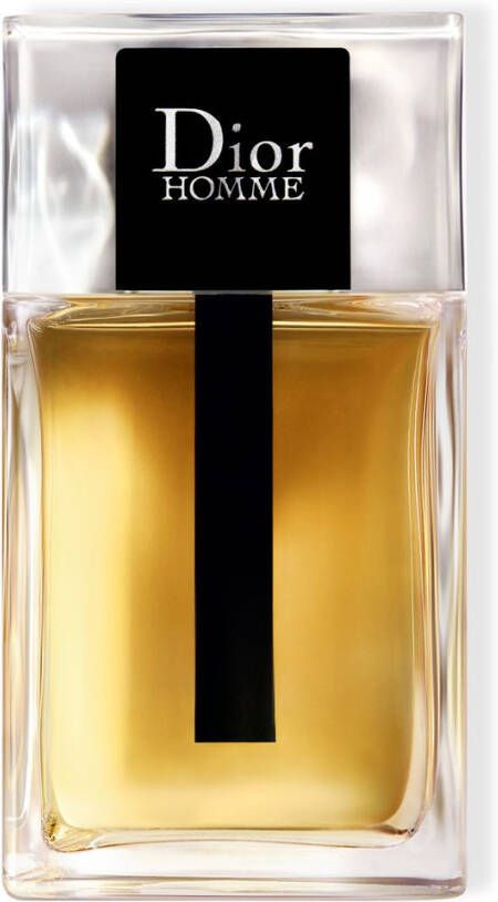 Dior Homme eau de toilette 100 ml 100 ml