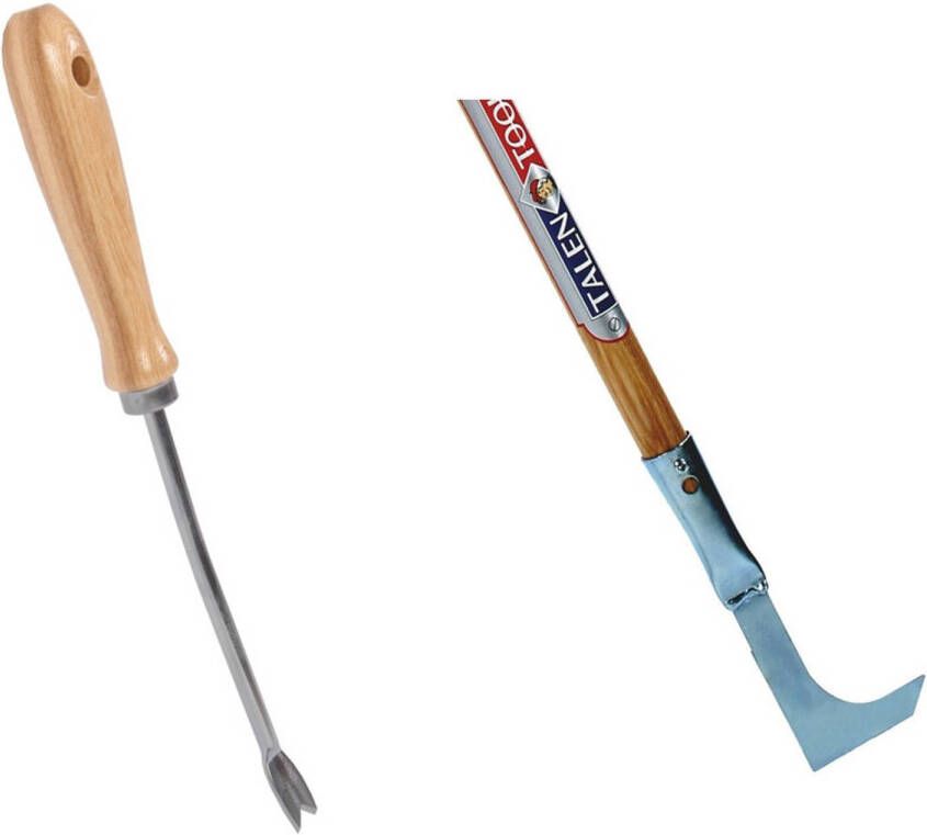 Merkloos Kleine Voegenkrabber En Onkruidsteker Set Onkruidkrabbers