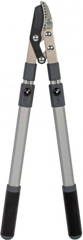 Talen Tools Takkenschaar telescopisch met aambeeld