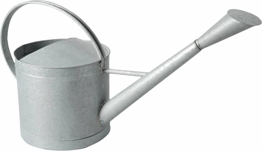 Esschert Design Gieter buitenshuis XL/