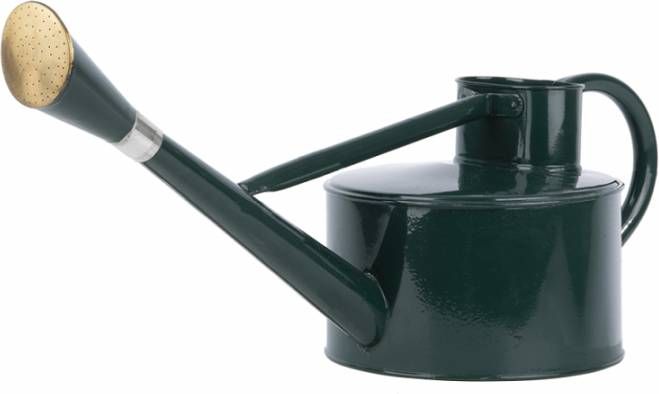 Esschert Design Gieter groen klassiek 5L/