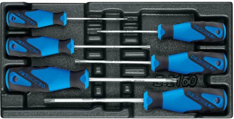 Gedore 1500 ES 2163 TXB 3 C schroevendraaier set in 1/3 gereedschapsmodule