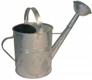 Merkloos Gieter Van Zink Met Broeskop 5 Liter Gieters