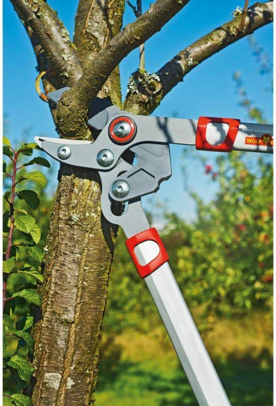 WOLF-Garten Takkenschaar "Basic Plus" POWER CUT* RS 650 Takkenschaar